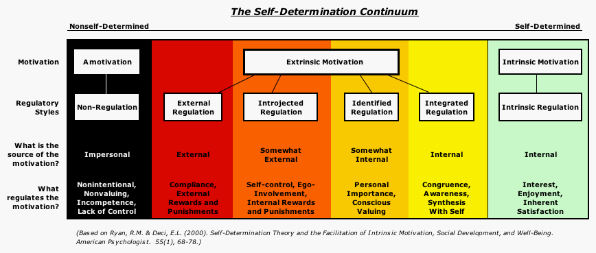 The Self-Determination Continuum