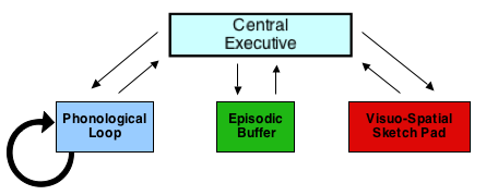 strengths of the working memory model
